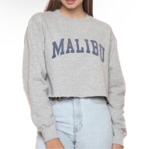 BRANDY MELVILLE JOHN GALT MALIBU CROPPED PULLOVER SWEATSHIRT gray blue